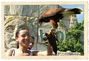eagle